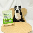 덴탈포스 이미지