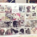 개네엄마 이미지