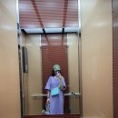 스콘단단씨