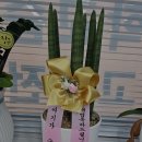 오늘의수학 교습소 이미지