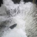 대신부화장 이미지