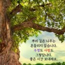 2025 순천시 재향군인회 나라사랑 함양 호국순례 이미지