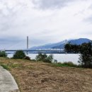 낙동강변3 이미지