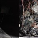 용인미르스타디움 이미지