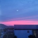 펠리시티 이미지