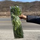 논실농원 이미지