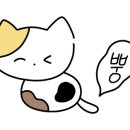 뉴이메디약국 이미지