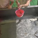 정원어린이집 | 🌿 남양주 안데르센 정원 후기 | 아이와 함께한 동화 속 하루 💫