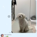 재룡농장 | 시작이 제일 무서운 미룬이