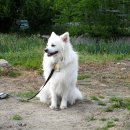 염포양정도서관 이미지