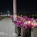 동진탕