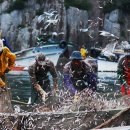 남해-302 이미지