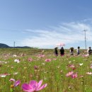 청미천 6 이미지