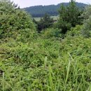 상모리-27 이미지