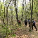 [대필] 8월 24일 서울대공원 산림욕장 둘레길 이미지