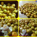 나영농장 이미지