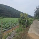 팔봉지하수