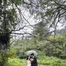 코스모스와 메밀가든 | 꾸스냅 촬영후기 ,비오는날☔️