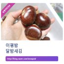 달밤팜