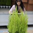 아델라농장 이미지