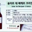 뱅가드와인머천트 이미지