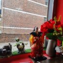 칠곡박한의원 이미지