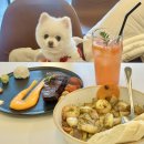 다섯테이블 | 시흥 물왕저수지 애견동반 식당 다이너, 다섯번째 방문 후기