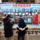 속초대일호방어1 네이버블로그