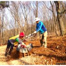 단비농장 이미지