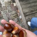 다희펜션 | 강원도 춘천 화천 애견동반 펜션 다희펜션 캠핑장 바베큐부터 계곡까지