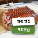 원주양평횟집 | 양평 송어회 계정횟집 부모님 맛집 내돈내산