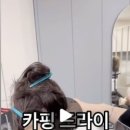 나무뷰티아카데미창원캠퍼스학원