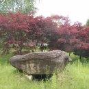 양구공수리지석묘군 이미지