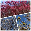 자산동167 | 창원(마산합포구) 청연암(청련암)