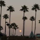 롯데호텔제주 | 롯데호텔 제주 후기