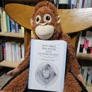 영성상사 | [독서 후기] 우리가 지혜라고 부르는 것의 비밀 Wiser, 딜립 제스테/스콧 라피 지음