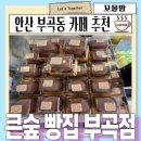 안산내일장애인보호작업장 | 안산 착한 베이커리 카페 큰숲빵집 두쫀쿠 내 돈 내산 후기