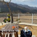 대포동주민센터 | 설악산 보이는 카페 찾는다면? 속초 실내 애견동반 카페가 딱