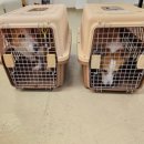 독클래스 이미지