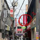 더(THE)빨강 | 강릉 왓더버거 추천 메뉴 후기 : 강릉시내 수제버거 맛집