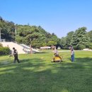 앞산충혼탑 제초제살포작업 이미지