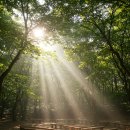 순천만쉼표2 | 여기만큼은 꼭 가봐야 해요! 5월이 다 가기 전에 서둘러야 할 국내 아이와 체험 여행 가볼만한 곳