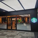 브이메디칼 | 성수피부과 리프팅 브이로어드밴스 LDM 찐 후기