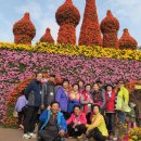 초락2리경로당 이미지