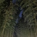 진주다방 - 제천시 의림대로 26-1 | 진주다방