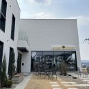 더그린스토리 이미지