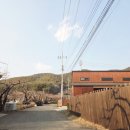 청도고요 이미지