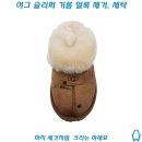 신비세탁 이미지