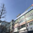 한양수리아파트 상가동 (한양프라자) | 분당 수내 서현 아파트 임장 후기 (수내 양지 5단지 한양, 시범 한양아파트)