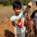 신유토마을 이미지